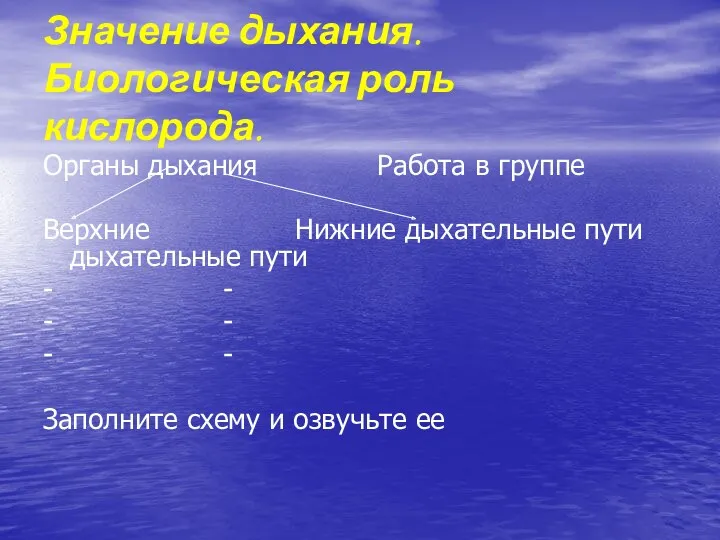 Органы дыхания Работа в группе Верхние Нижние дыхательные пути дыхательные