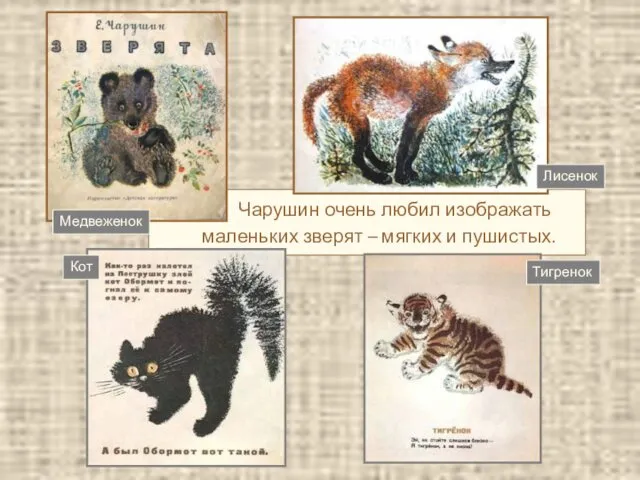 Чарушин очень любил изображать маленьких зверят – мягких и пушистых. Медвеженок Кот Лисенок Тигренок