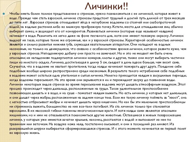 Личинки!! Чтобы иметь более полное представление о стрекозе, нужно познакомиться