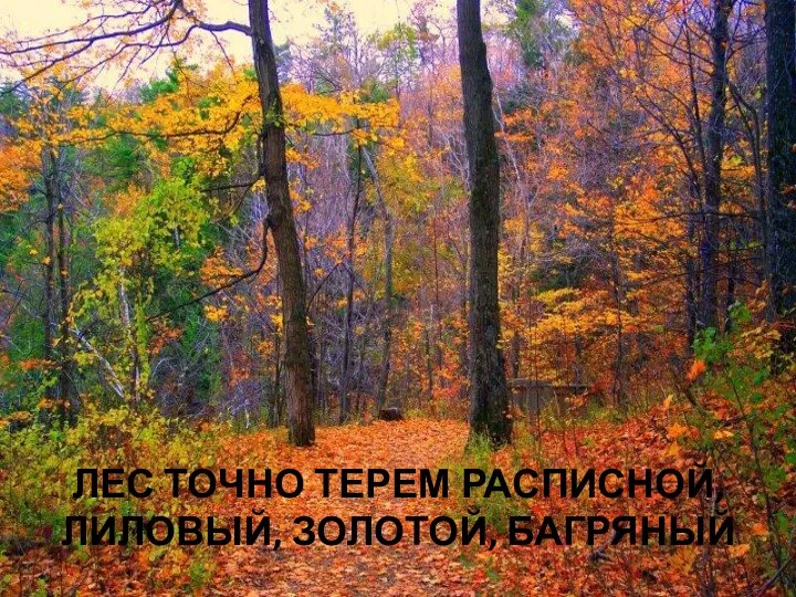 ЛЕС ТОЧНО ТЕРЕМ РАСПИСНОЙ, ЛИЛОВЫЙ, ЗОЛОТОЙ, БАГРЯНЫЙ