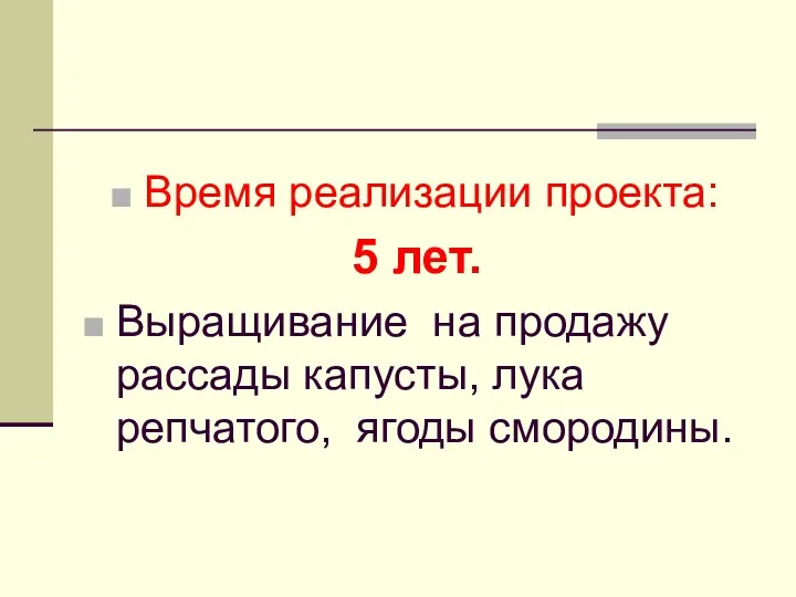 Время реализации проекта: 5 лет. Выращивание на продажу рассады капусты, лука репчатого, ягоды смородины.