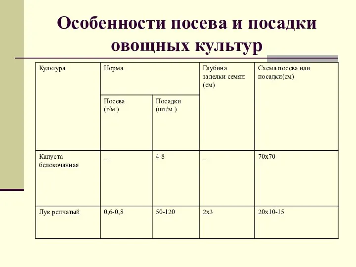 Особенности посева и посадки овощных культур