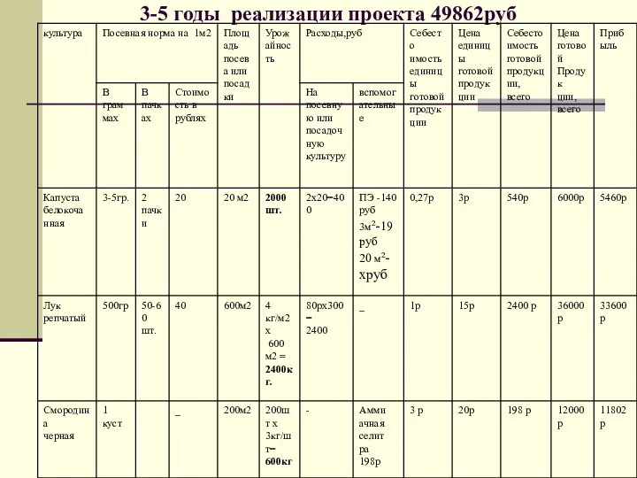 3-5 годы реализации проекта 49862руб