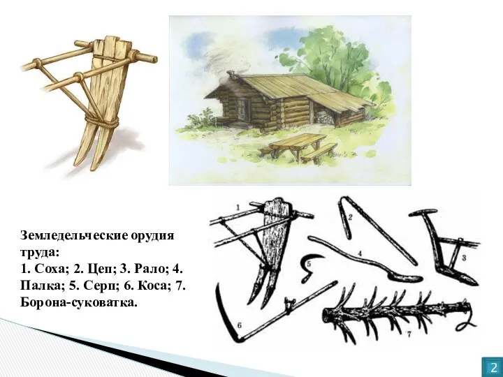 Земледельческие орудия труда: 1. Соха; 2. Цеп; 3. Рало; 4. Палка; 5. Серп;