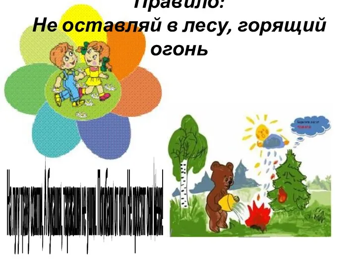 Правило: Не оставляй в лесу, горящий огонь На лугу траву