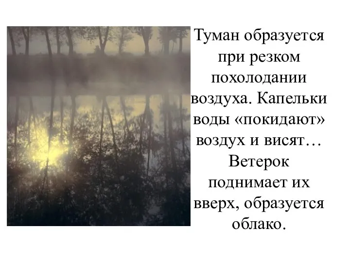 Туман образуется при резком похолодании воздуха. Капельки воды «покидают» воздух