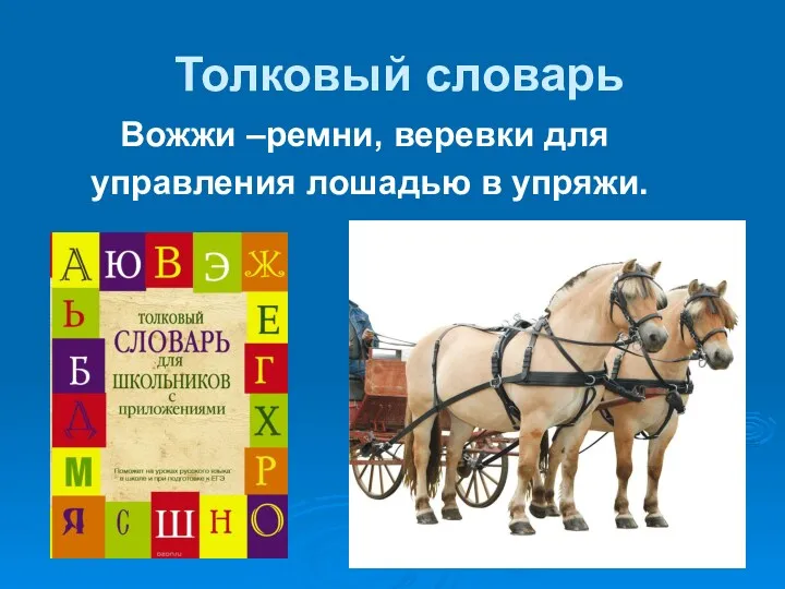 Толковый словарь Вожжи –ремни, веревки для управления лошадью в упряжи.