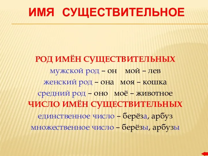 ИМЯ СУЩЕСТВИТЕЛЬНОЕ РОД ИМЁН СУЩЕСТВИТЕЛЬНЫХ мужской род – он мой – лев женский