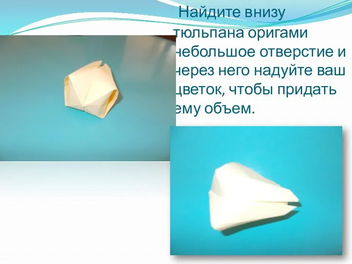 Найдите внизу тюльпана оригами небольшое отверстие и через него надуйте ваш цветок, чтобы придать ему объем.