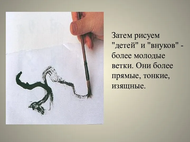 Затем рисуем "детей" и "внуков" - более молодые ветки. Они более прямые, тонкие, изящные.