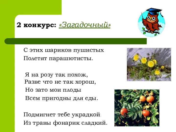 2 конкурс: «Загадочный» С этих шариков пушистых Полетят парашютисты. Я