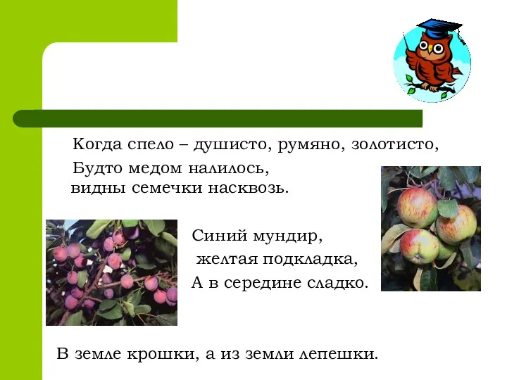 Когда спело – душисто, румяно, золотисто, Будто медом налилось, видны семечки насквозь. Синий