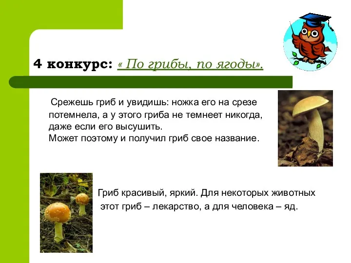 4 конкурс: « По грибы, по ягоды». Срежешь гриб и увидишь: ножка его