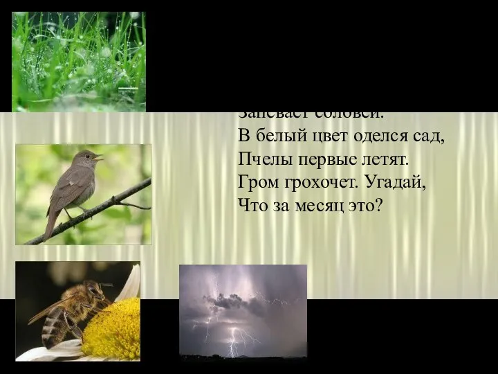 Зеленеет даль полей Запевает соловей. В белый цвет оделся сад, Пчелы первые летят.