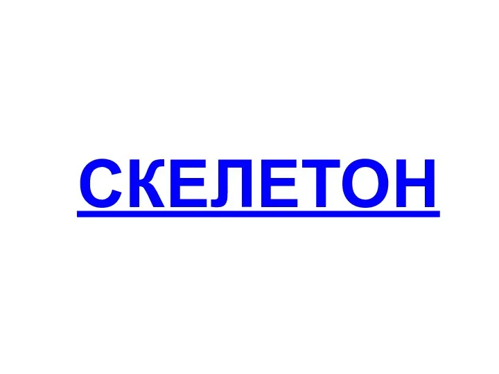 Скелетон