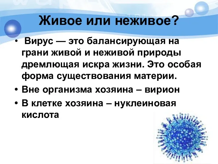 Живое или неживое? Вирус — это балансирующая на грани живой