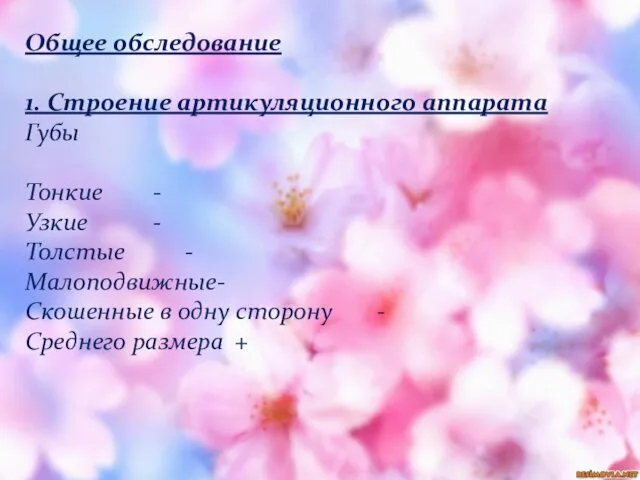 Общее обследование 1. Строение артикуляционного аппарата Губы Тонкие - Узкие