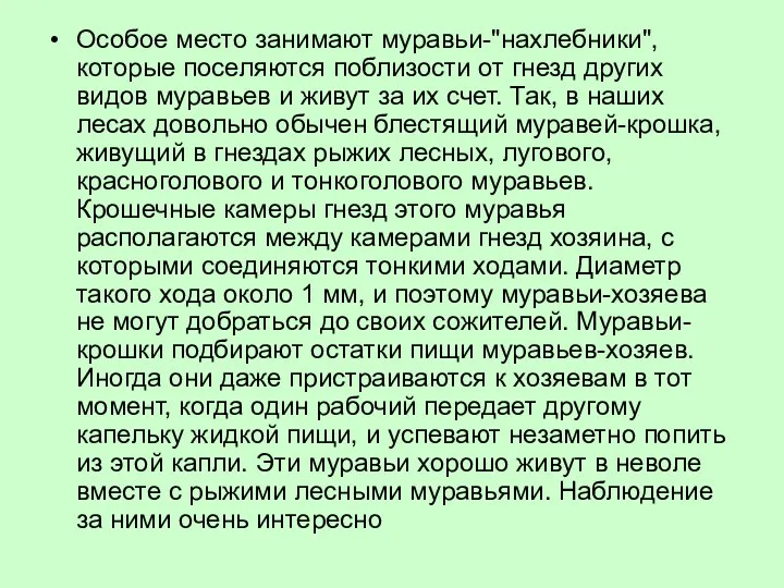 Особое место занимают муравьи-"нахлебники", которые поселяются поблизости от гнезд других