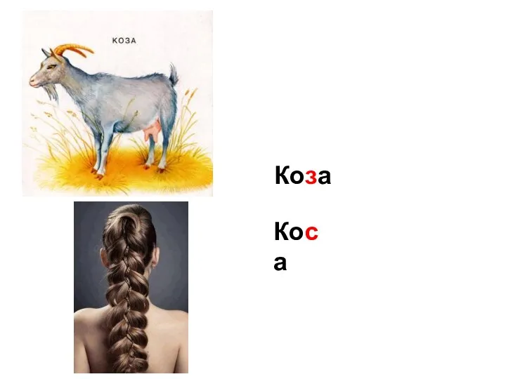 Коза Коса