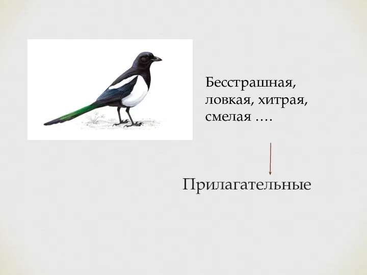 Бесстрашная, ловкая, хитрая, смелая …. Прилагательные