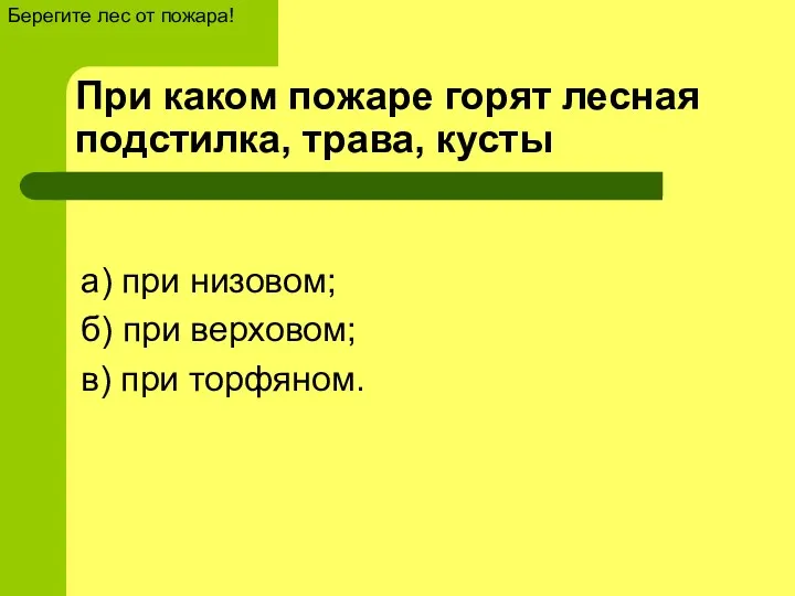 При каком пожаре горят лесная подстилка, трава, кусты а) при