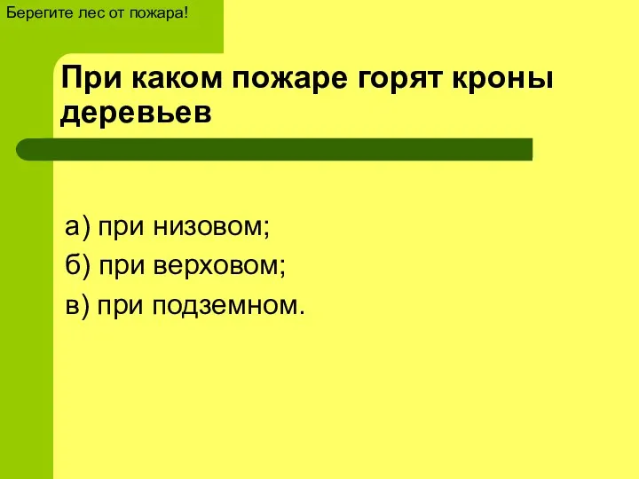 При каком пожаре горят кроны деревьев а) при низовом; б)