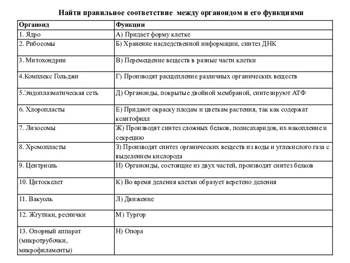 Найти правильное соответствие между органоидом и его функциями