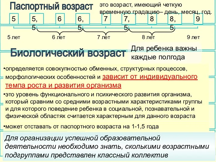 Паспортный возраст 6 лет 7 лет 8 лет 9 лет