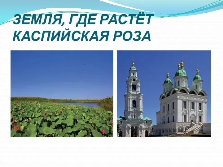 ЗЕМЛЯ, ГДЕ РАСТЁТ КАСПИЙСКАЯ РОЗА