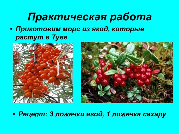 Практическая работа Приготовим морс из ягод, которые растут в Туве Рецепт: 3 ложечки