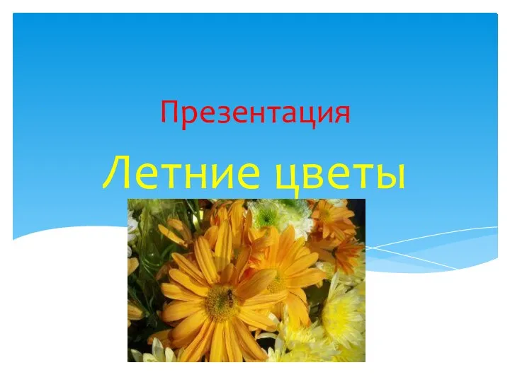 Летние цветы Презентация