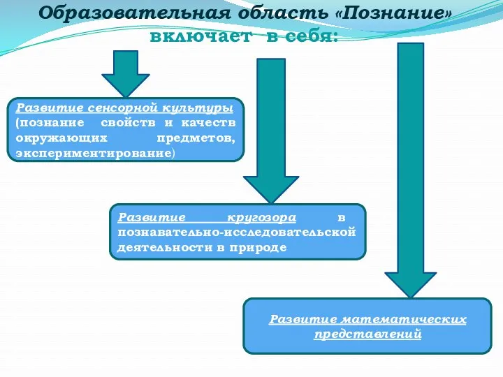 Образовательная область «Познание» включает в себя: Развитие сенсорной культуры (познание