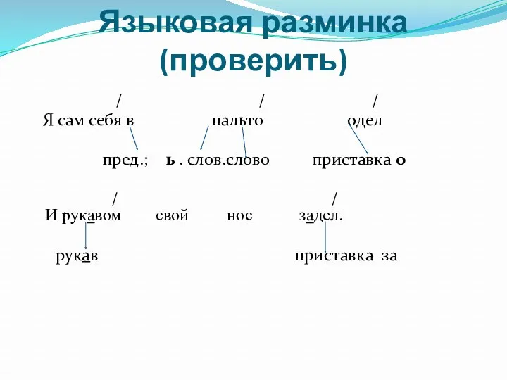 Языковая разминка(проверить) / / / Я сам себя в пальто