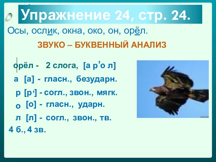 Упражнение 24, стр. 24. Осы, ослик, окна, око, он, орёл. ЗВУКО – БУКВЕННЫЙ