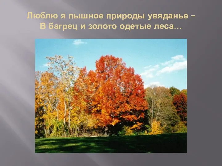 Люблю я пышное природы увяданье – В багрец и золото одетые леса…