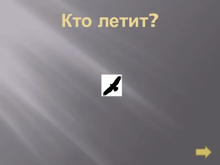 Кто летит?