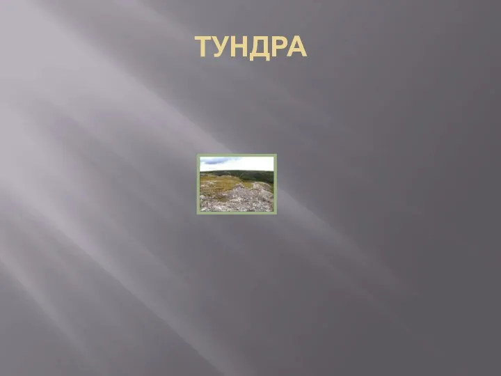 ТУНДРА