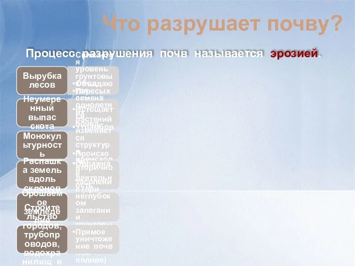 Что разрушает почву? Процесс разрушения почв называется эрозией.