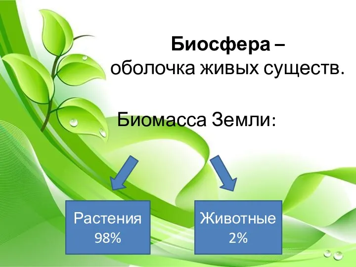 Биосфера – оболочка живых существ. Биомасса Земли: Растения 98% Животные 2%