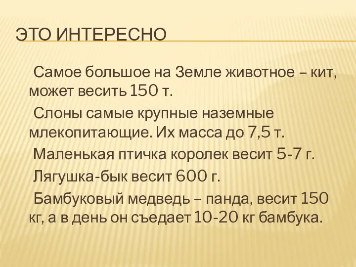 Это интересно Самое большое на Земле животное – кит, может