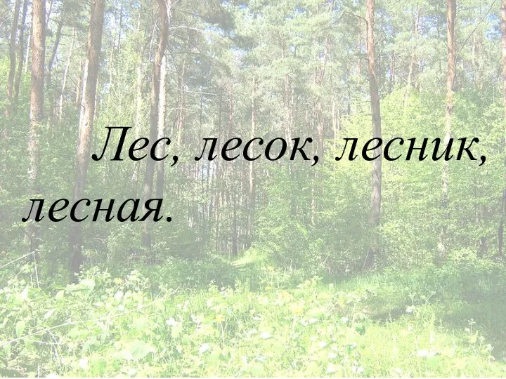 Лес, лесок, лесник, лесная.