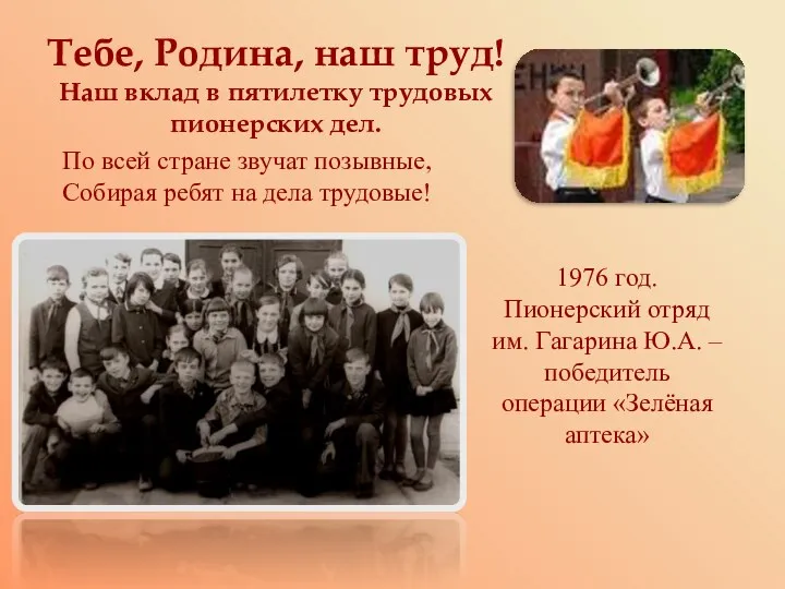 Тебе, Родина, наш труд! Наш вклад в пятилетку трудовых пионерских дел. По всей