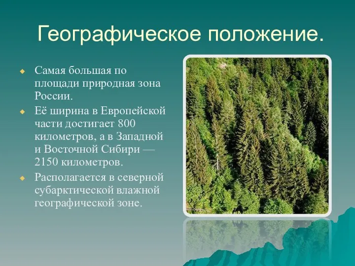 Географическое положение. Самая большая по площади природная зона России. Её ширина в Европейской