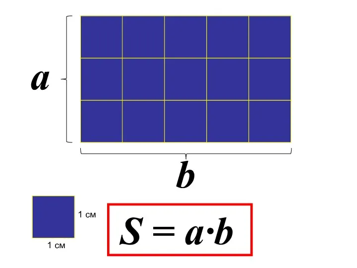 1 см 1 см a b S = a·b