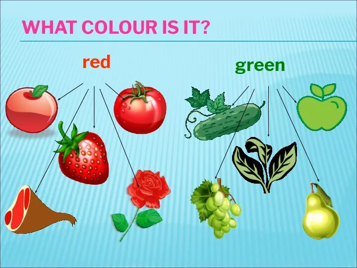 WHAT COLOUR IS IT? red green