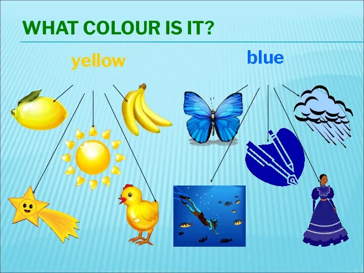 WHAT COLOUR IS IT? yellow blue