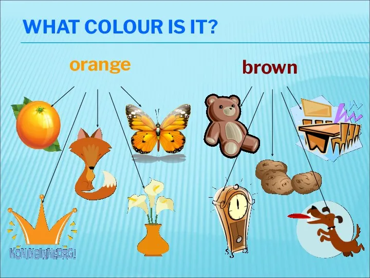 WHAT COLOUR IS IT? orange brown