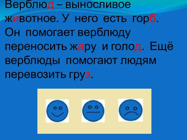 Верблюд – выносливое животное. У него есть горб. Он помогает