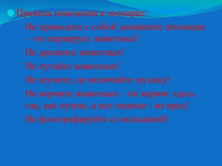 Правила поведения в зоопарке: Не приводите с собой домашних питомцев