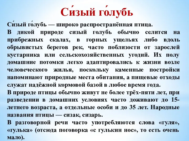 Си́зый го́лубь Си́зый го́лубь — широко распространённая птица. В дикой